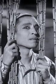 Actor Mounir ElFangary