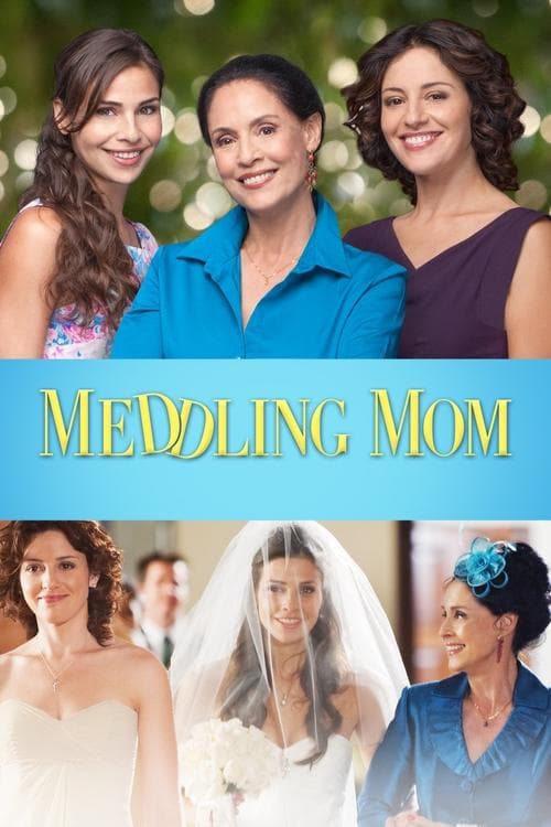 Poster for Meddling Mom
