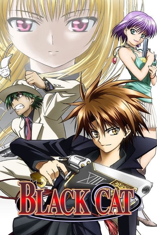 Poster for Black Cat