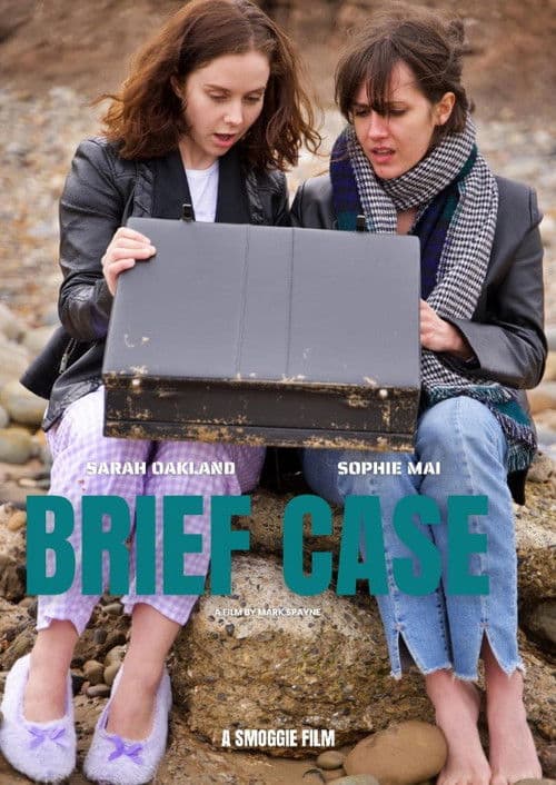 Poster for Brief Case