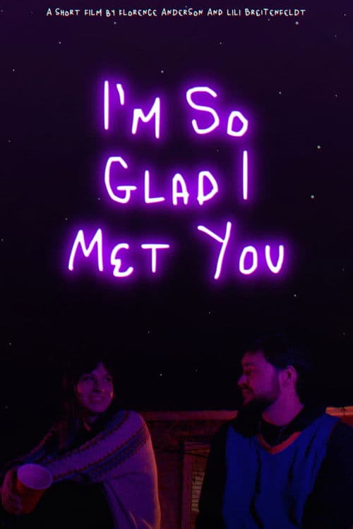 Poster for I'm So Glad I Met You