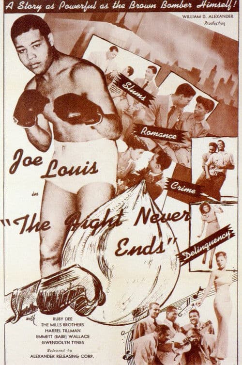 Poster for The Fight Never Ends