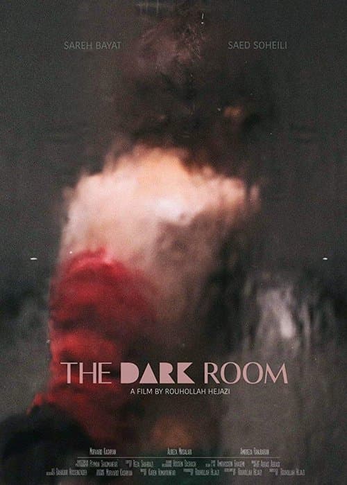 Poster for The Dark Room