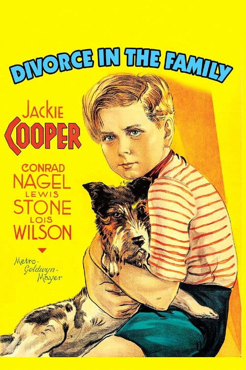 Poster for Divorce In The Family