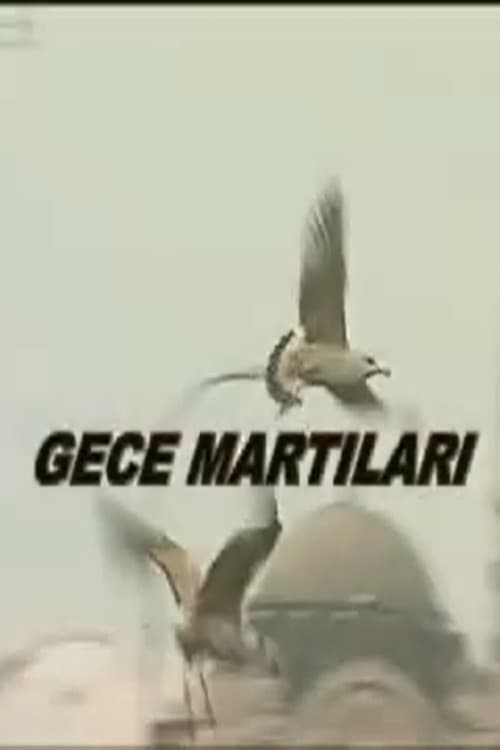 Poster for Gece Martıları