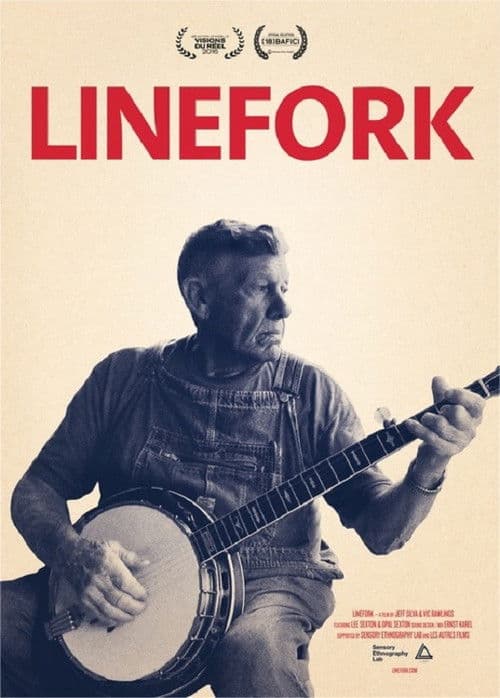 Poster for Linefork