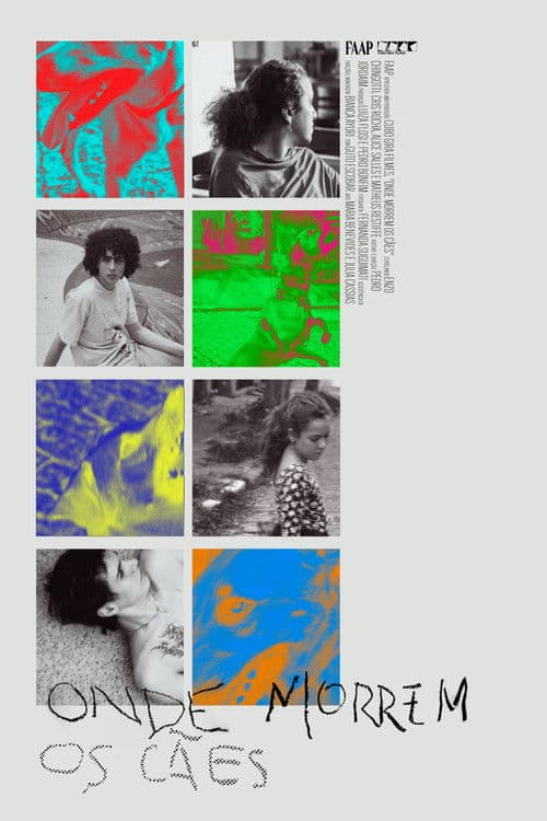 Poster for Onde Morrem os Cães