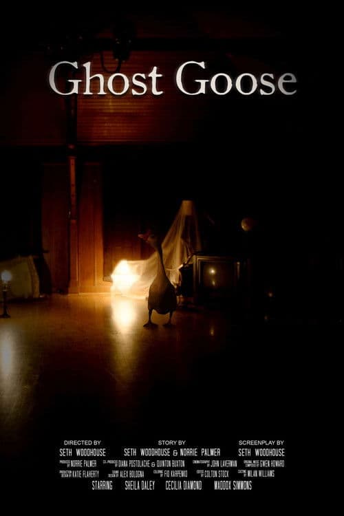 Poster for Ghost Goose