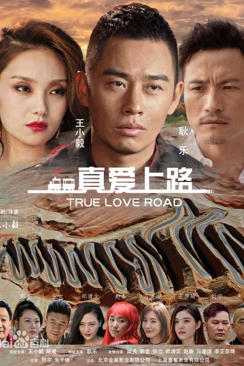 Poster for True Love Road
