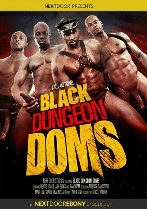 Poster for Black Dungeon Doms