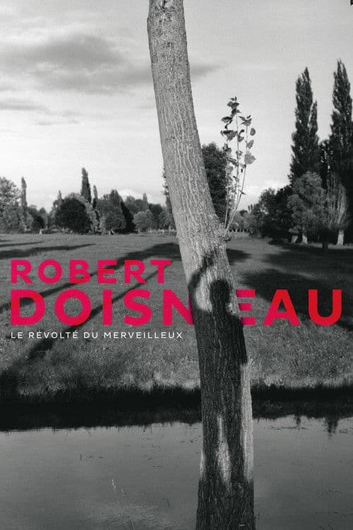 Poster for Robert Doisneau: Through the Lens