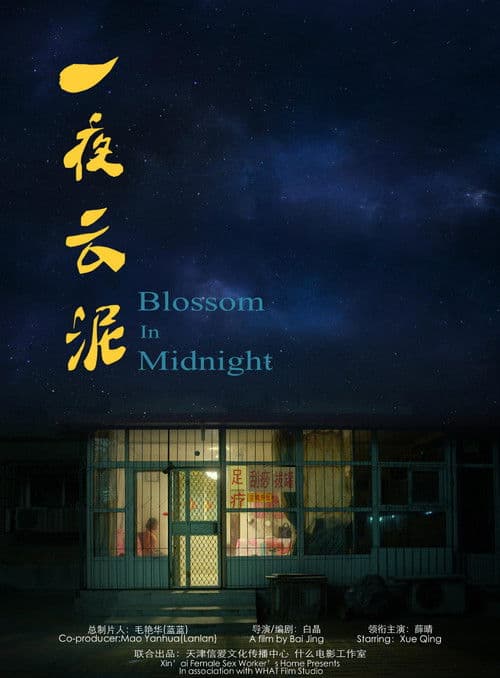 Poster for Blossom in Midnight