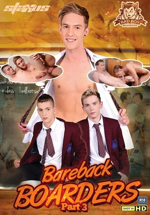 Poster for Bareback Boarders 3
