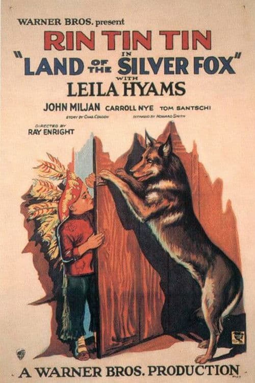 Poster for Land of the Silver Fox