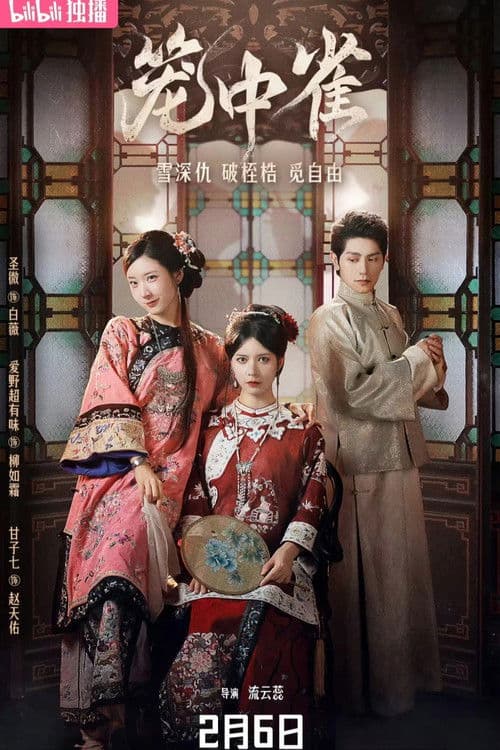 Poster for The Canary in the Cage