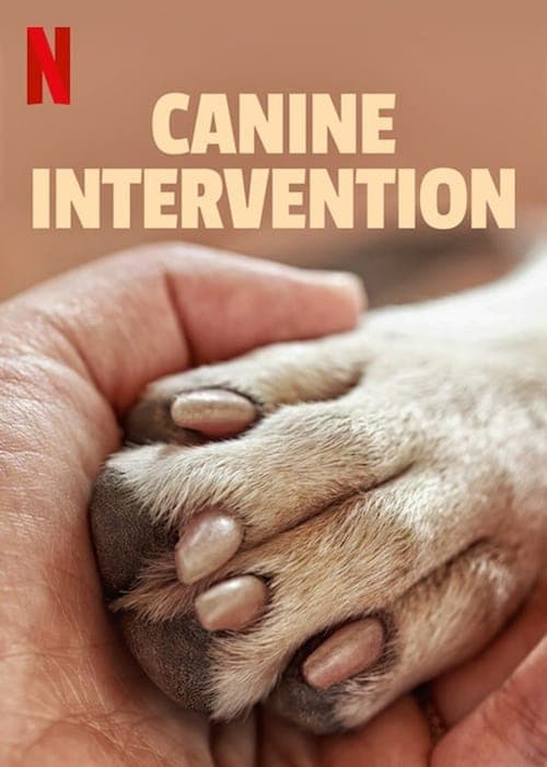Similar show Canine Intervention