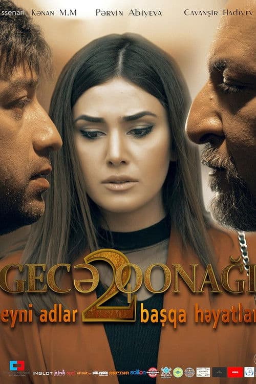 Poster for Night Guest 2