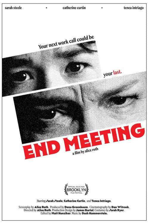 Poster for End Meeting