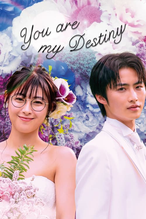 Poster for You Are My Destiny