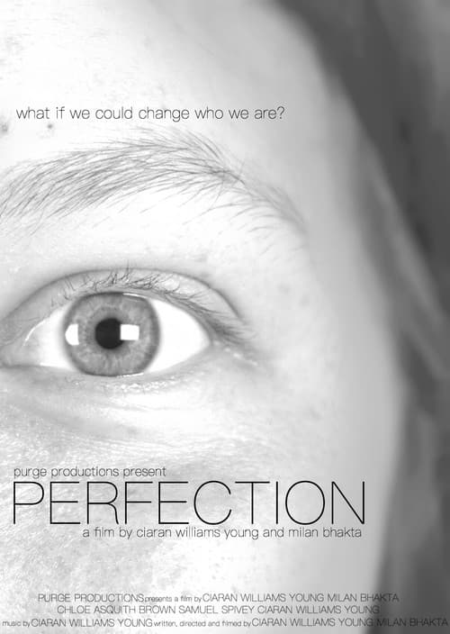 Poster for PERFECTION