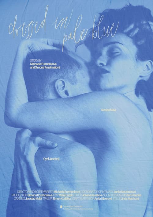 Poster for V bleděmodré oblečeni