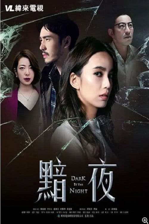 Poster for Dark Is the Night