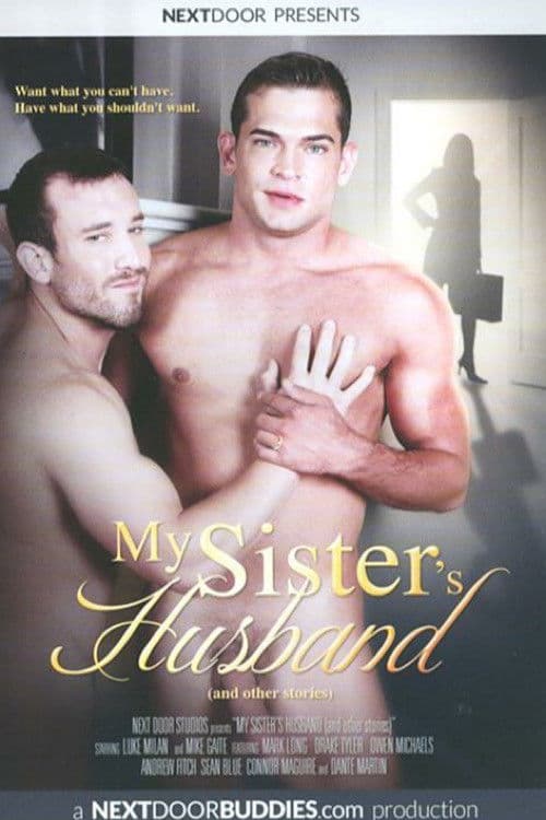 Poster for My Sister's Husband
