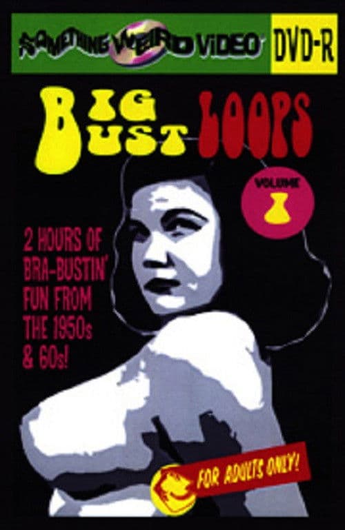Poster for Big Bust Loops  Volume 1