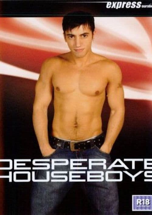 Poster for Desperate Houseboys