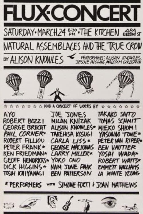 Poster for Flux-Concert