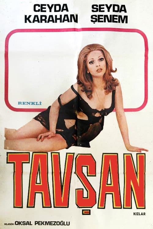 Poster for Rabbit Girls