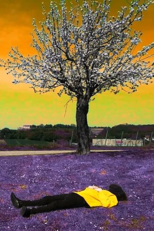 Poster for Filmisches Selbstportrait