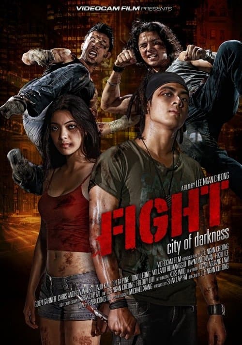 Poster for Fight: City of Darkness