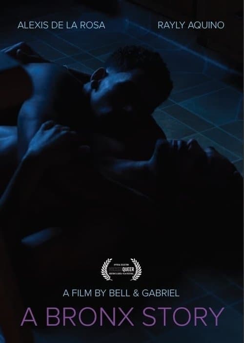 Poster for A Bronx Story