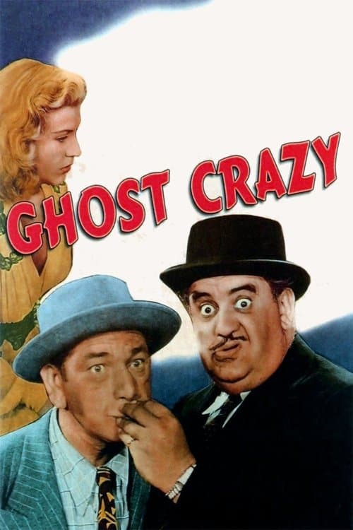 Poster for Crazy Knights