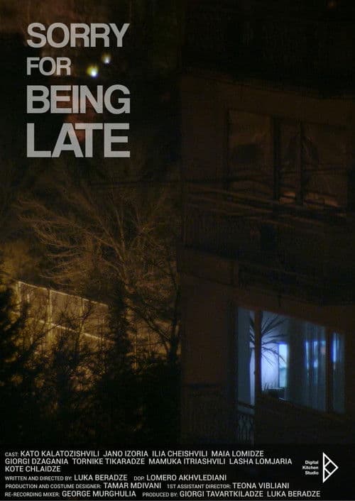 Poster for Sorry for being late