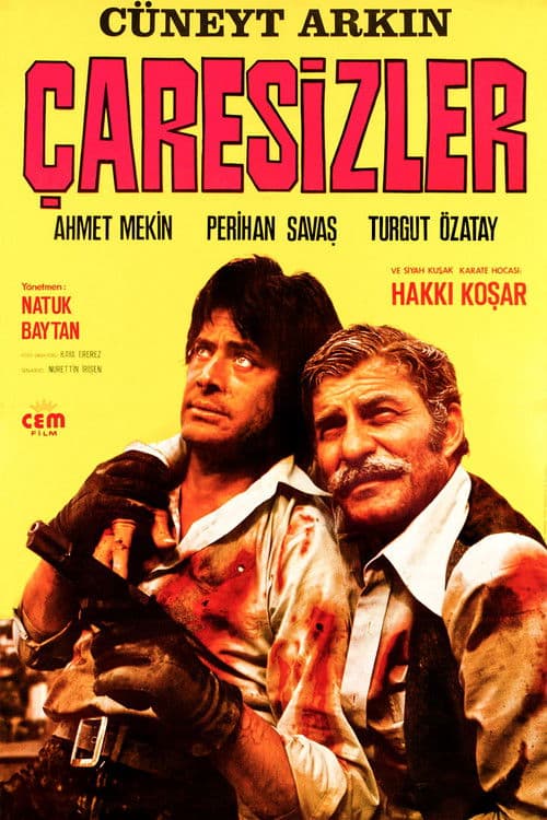 Poster for Çaresizler