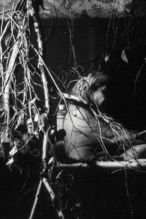 Poster for Days of doubt