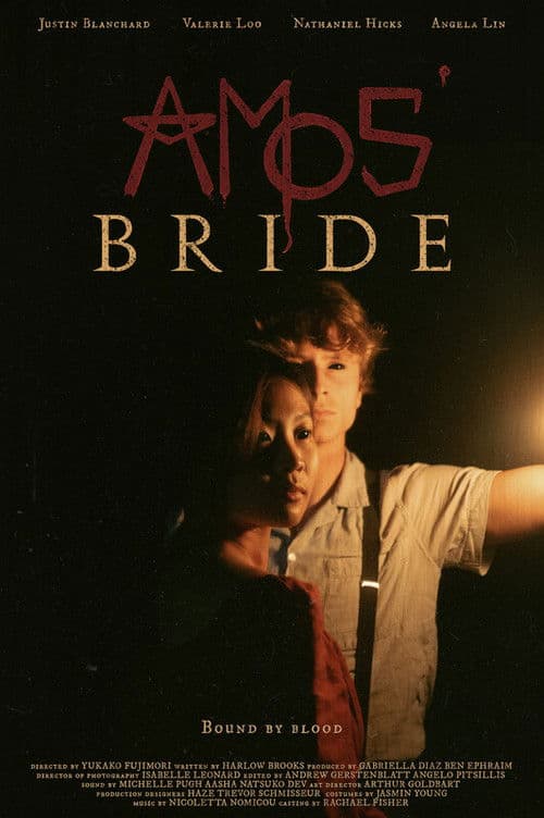 Poster for Amos' Bride