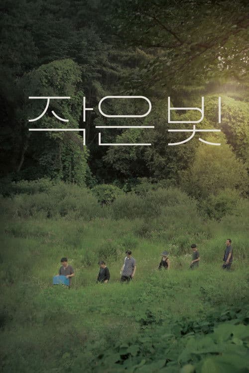 Poster for Tiny Light