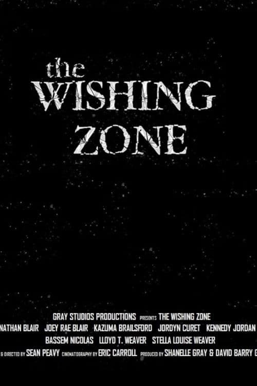 Poster for The Wishing Zone