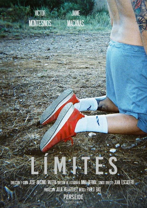 Poster for Limits