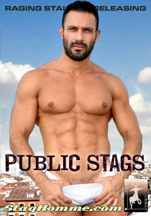 Poster for Public Stags