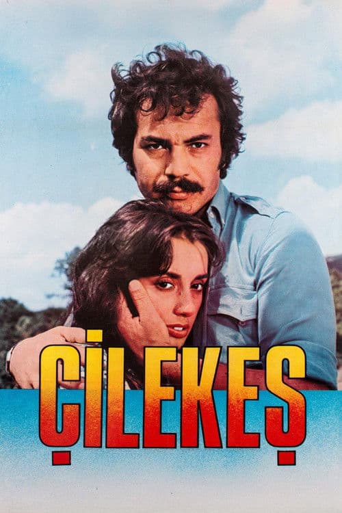 Poster for Çilekeş