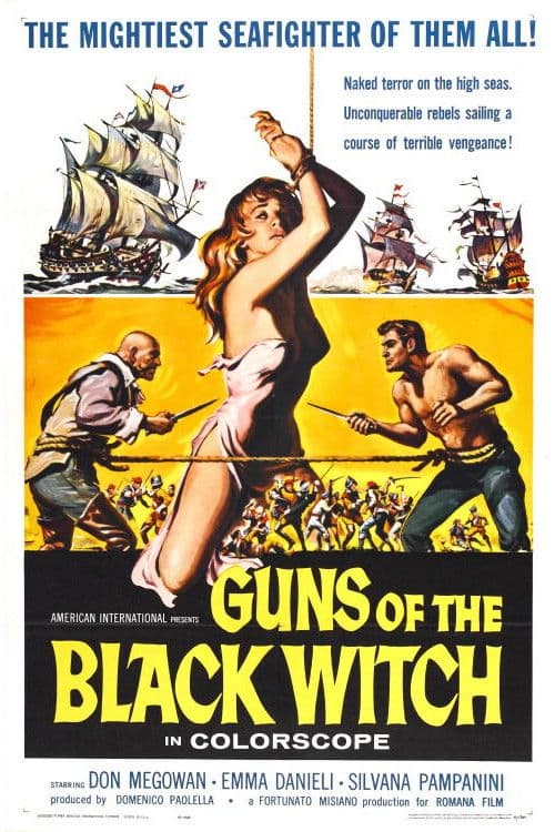Poster for Guns of the Black Witch