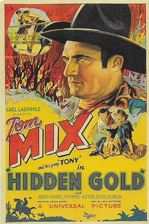 Poster for Hidden Gold