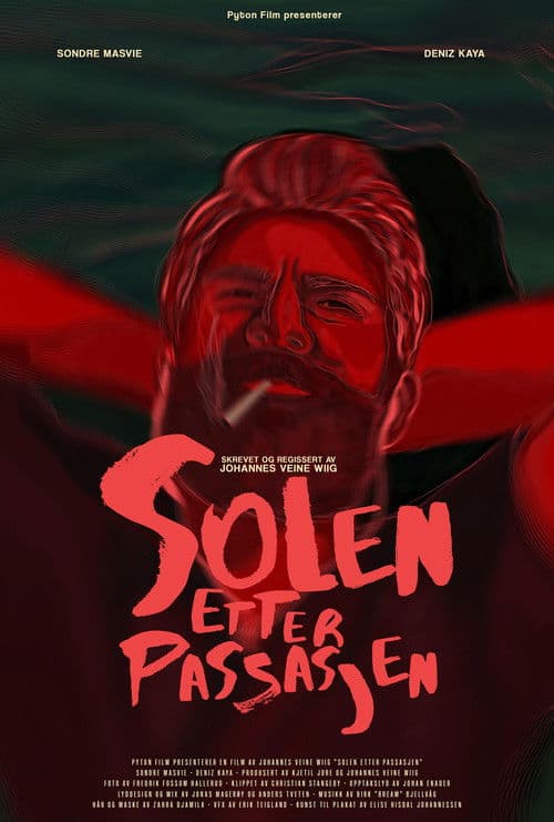 Poster for Solen etter Passasjen