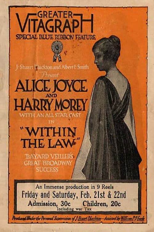 Poster for Within the Law
