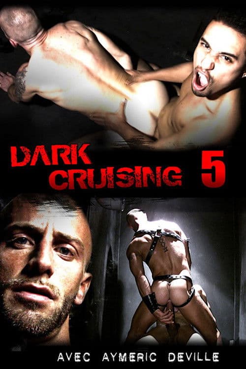 Poster for Dark Cruising 5
