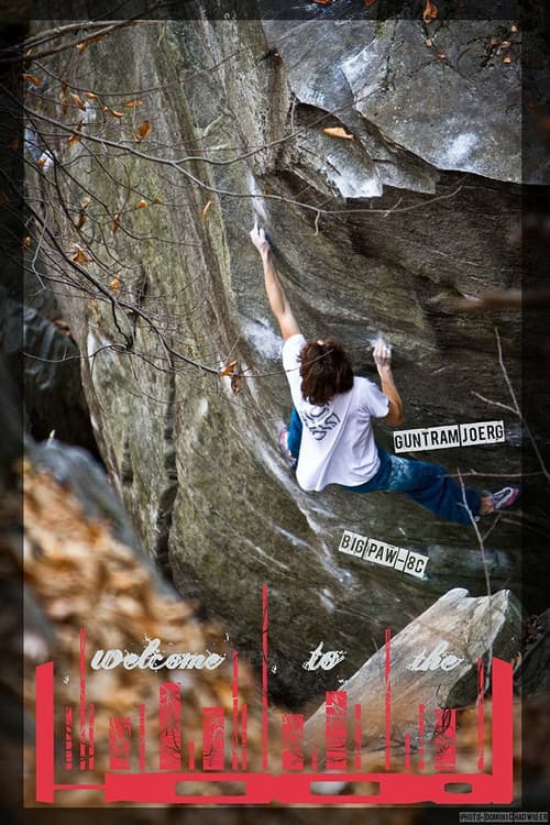 Poster for Welcome to the Hood